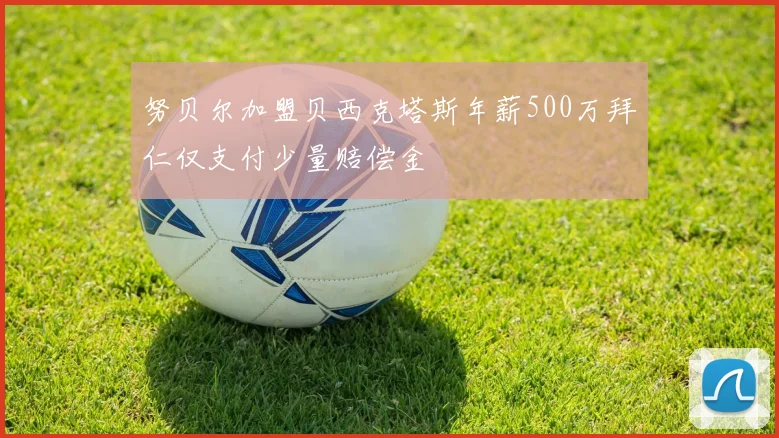 努贝尔加盟贝西克塔斯年薪500万拜仁仅支付少量赔偿金