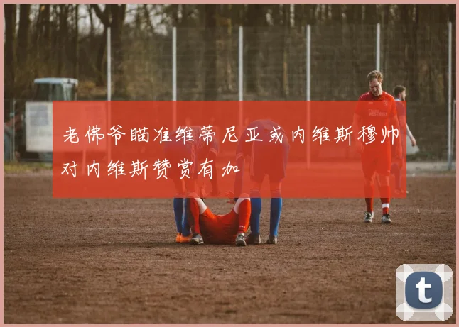 老佛爷瞄准维蒂尼亚或内维斯穆帅对内维斯赞赏有加